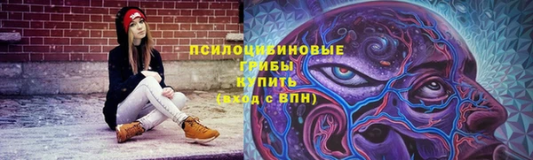 круглые Ладушкин